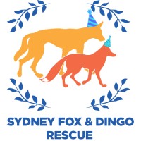 Sydney Fox and Dingo Rescue Logo