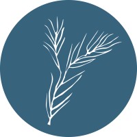 Pinyon Public Affairs Logo