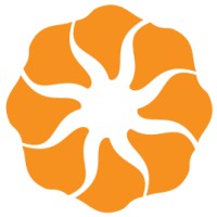 Arise Investments and Capital Pvt. Ltd. Logo