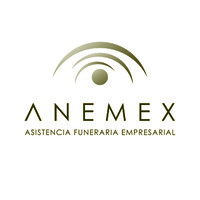 Anemex Logo
