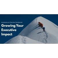 Peak Executive Coaching Logo