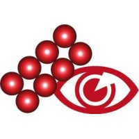 Vision Catcher - Security & Surveillance Solutions Logo