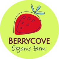 Berrycove Limited Logo