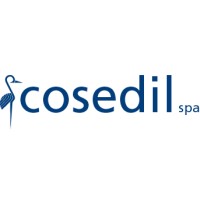 Cosedil Spa Logo