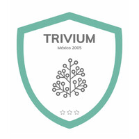 Instituto Trivium Logo