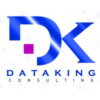 Dataking Consulting Logo