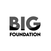BIG Foundation Logo