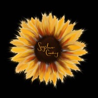 Sunflower Coaching Ltd Logo