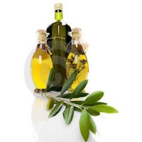 Olive Oil زيت الزيتون Logo