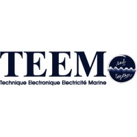 TEEM ELECTRONIQUE Logo