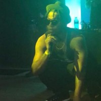 The Finesse Factory Logo