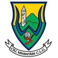 Wicklow GAA County Board Logo