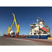 Avi International Logo