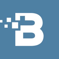 Boykin Interactive Logo