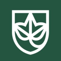 The Ivy School Logo