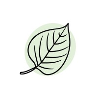 Sage Health Logo