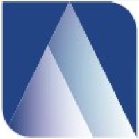 Asimo Networks B.V. Logo
