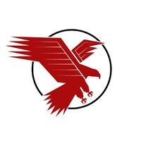 Eagles Nest Solutions Logo
