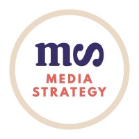 Media Strategy Logo