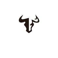 BULL SHELL ®️ Logo