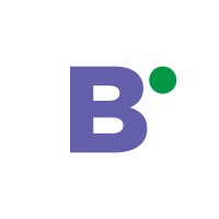 Bivision Logo