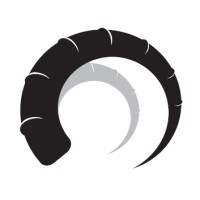 Blackhorn Wealth Management Logo