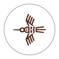 BarSol Pisco Logo