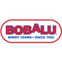 Bobalu Berry Farms, LLC Logo