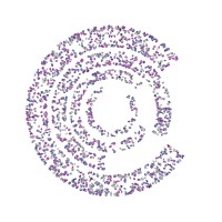 CapitalCode.Co Logo