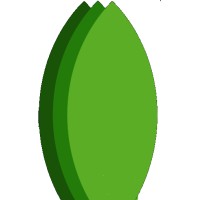 Simple Energy Inc Logo