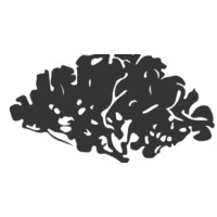 Extra Brain Ltd Logo