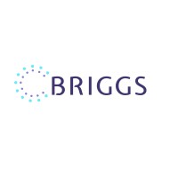 Briggs LLC Logo