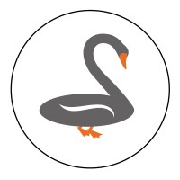 Cygnus Financial Planning Logo
