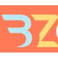 Bz Consultant Logo