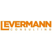 Levermann Consulting Logo