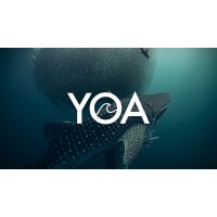 Youth Ocean Alliance Logo