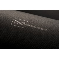 Quinn management & Consulting BV Logo