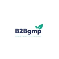 B2Bgmp Logo