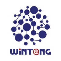 Wintang Network DMCC Logo