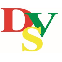 DSV AG Logo
