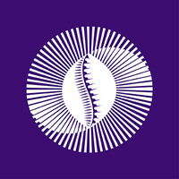 Pan-African Payment & Settlement System - PAPSS Logo