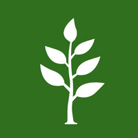 Digital Tree Logo