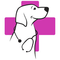 Mister Mascotas Logo