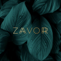 Zaavorr Logo