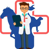Doctor For Animals Logo