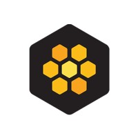 DevBee IT Solutions International Pvt. Ltd. Logo