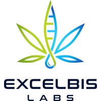 Excelbis Labs Logo