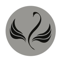 TitanSwan Ltd. Logo