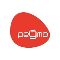 Pegma Resourcess Pvt. Ltd. Logo