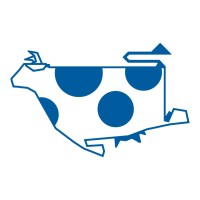 The Flying Cow Logo